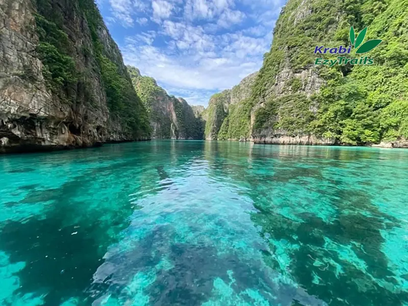 One Day Tour ​ Phi Phi Island Tour Early Bird + 4 Islands by Speedboat​
