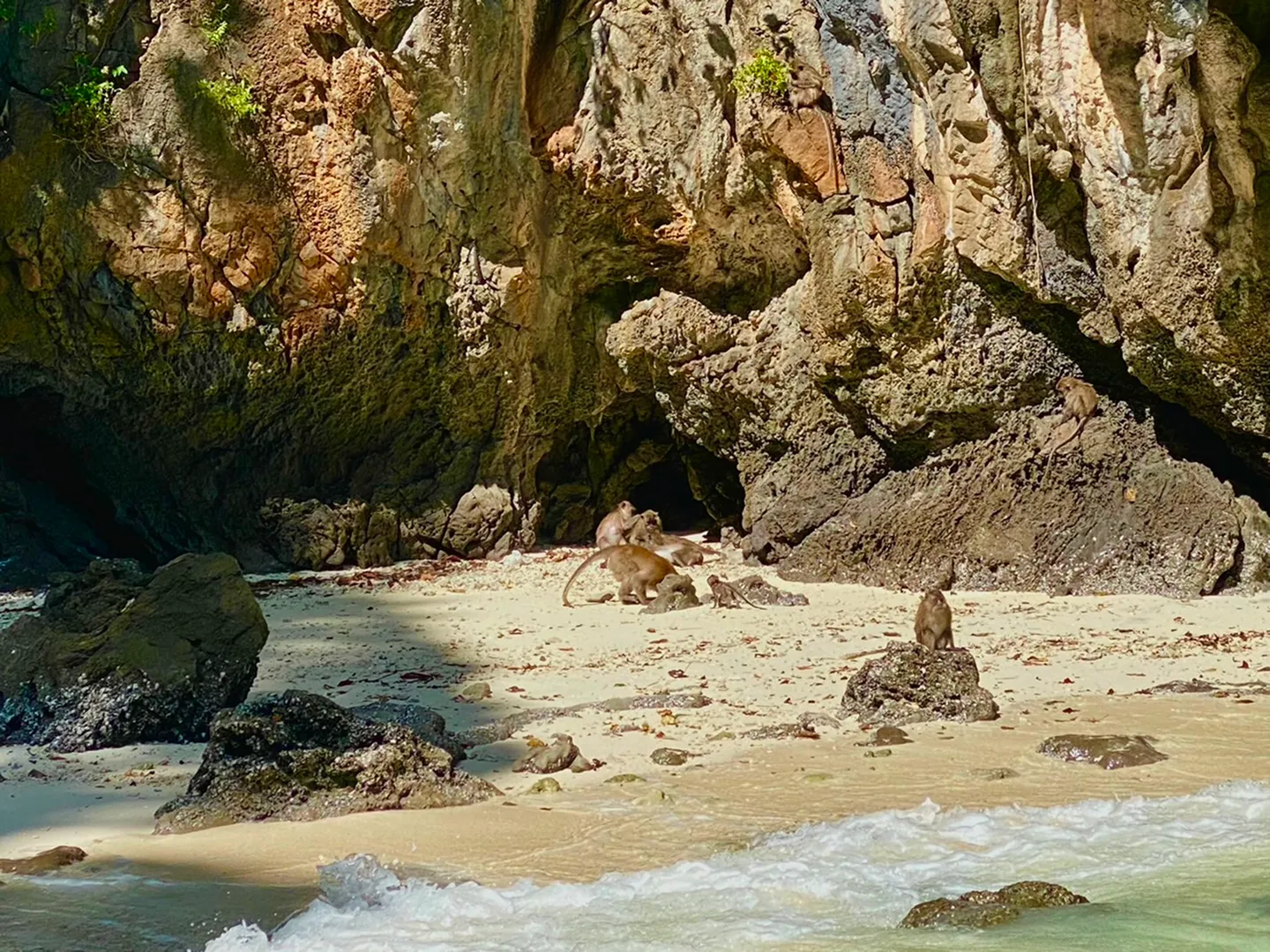 Phi Phi Island & 4 Islands Sunset Monkey