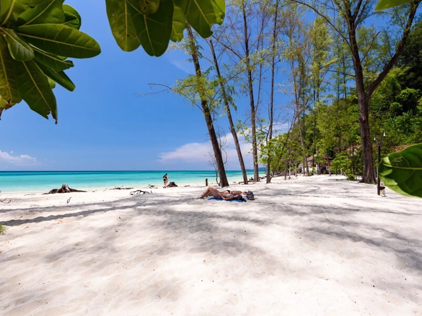 Phi Phi Island & 4 Islands Sunset Bamboo Island