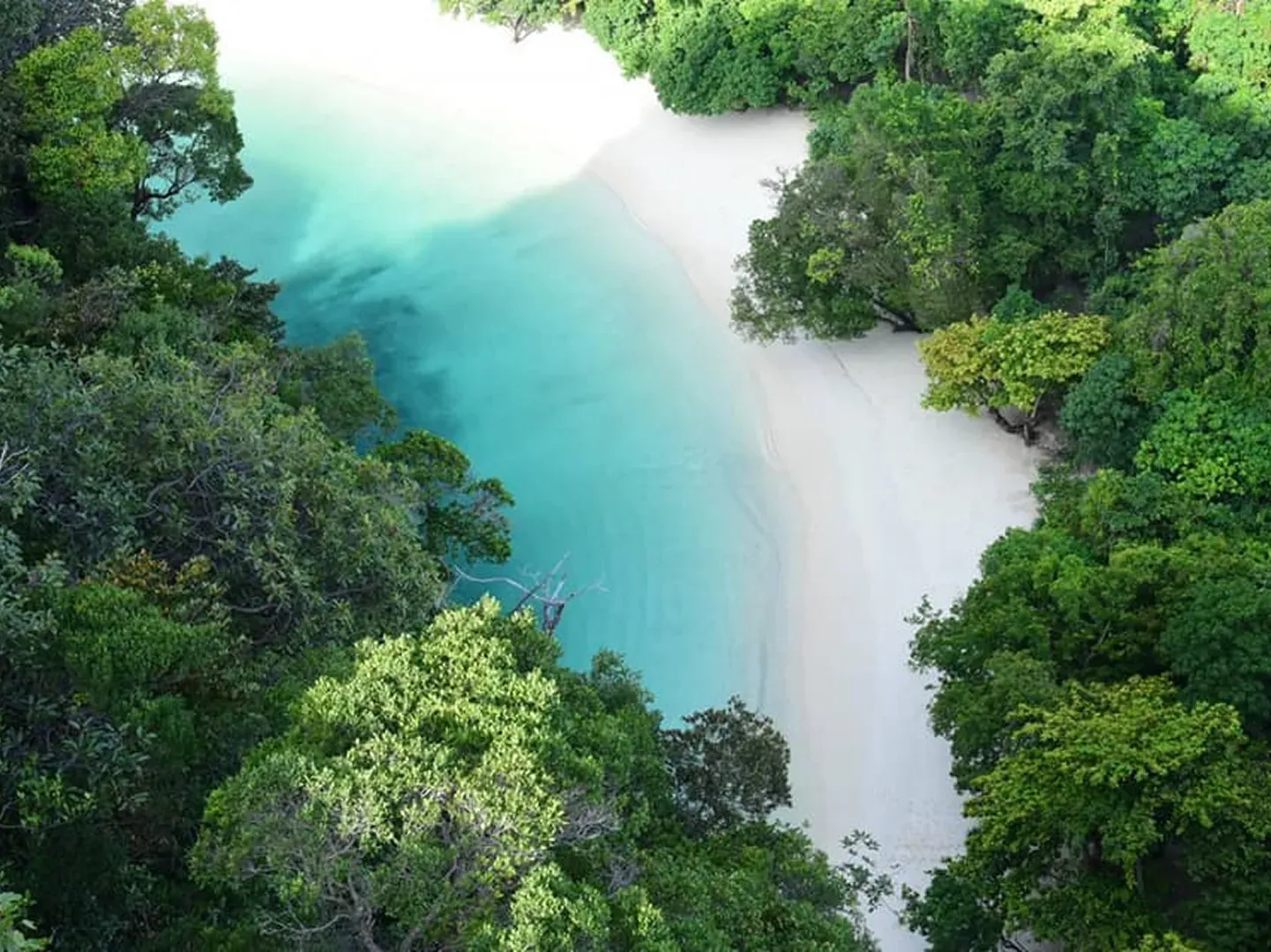 Koh Hong Early Bird + Krabi 4 Islands Hong Beach
