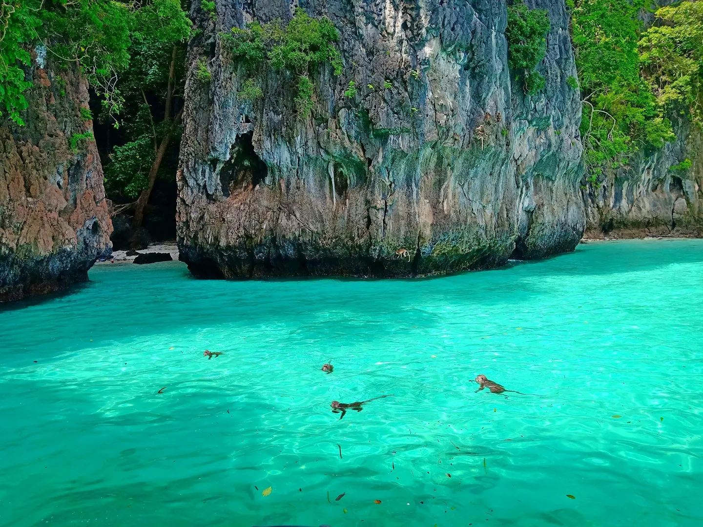 Phi Phi Island & 4 Islands Sunset Monkey