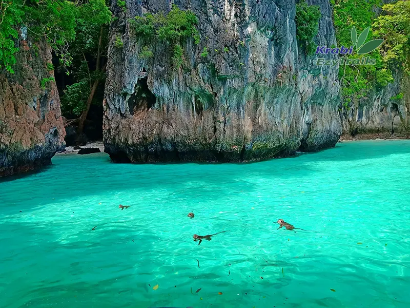 PHI PHI SUNRISE + 4 ISLANDS BY SPEED BOAT FROM KRABI