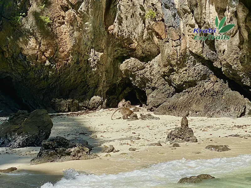 PHI PHI SUNRISE + 4 ISLANDS BY SPEED BOAT FROM KRABI