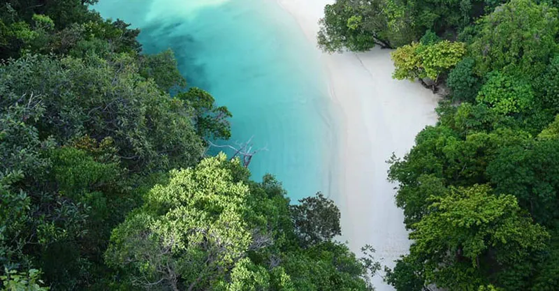 PRIVATE SPEED BOAT “HONG ISLANDS”